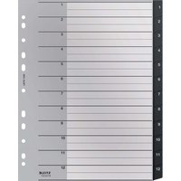 Leitz Recycle Register, PP, extrabreit, 1-12