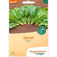 bingenheimer saatgut Bio-Samen Spinat "Thorin", 1 Stk. – Ansicht 1