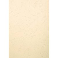 100 Exacompta Eindbanddeckel "Forever", 270 g/m², DIN A3, elfenbein