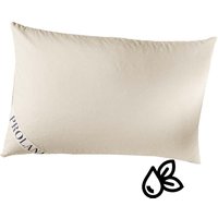 Prolana Kautschuk-Flocken-Kissen 40x60cm S.1200g Kaut.Flocken