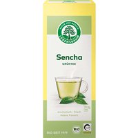LEBENSBAUM Grüner Bio-Tee Sencha, 20 x 1,5 g