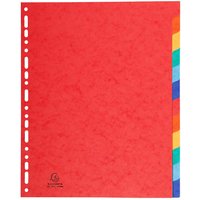 25 Exacompta Register, Colorspan-Karton, 12 Taben neutral, 225 g/m², DIN A4 Maxi, sortiert – Ansicht 1