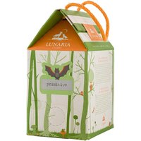 Bio-Rotwein "Terre D´Abruzzo" Primitivo IGP, Bag in Box 3 l