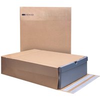 Bong 250 Versandtaschen 'e-Green' 353x250x80 mm, DHL Kleinpaket, 2xHK, braun 100 g/m²