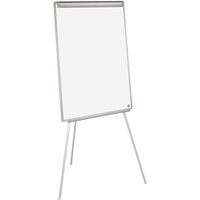 Bi-Office Flipchart 'Earth'