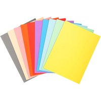 50 x 10 Exacompta Aktendeckel "Forever", 220 g/m², DIN A4, sortiert