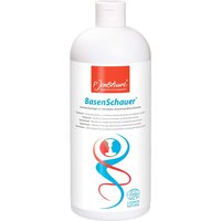 P. Jentschura Bio-Duschgel "BasenSchauer" mit Mineralien, Kräuterextrakten & Kampfer, 1 l
