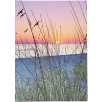 Notizbuch "Seaside" DIN A5 dotted, 72 Blatt