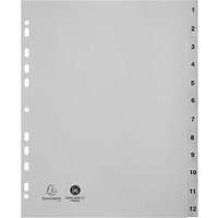 10 Exacompta Register, 12 Taben numerisch, 120 µ, DIN A4 Maxi, grau – Ansicht 1