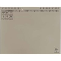 25 Exacompta Hängehefter "Exaflex Standard", 320 g/m², mit 1 Abheftvorrichtung, grau
