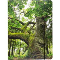 Sammelmappe "Baum", DIN A4, mit Gummizug und 3 Einschlagklappen, Recyclingkarton 500 g/m² – Ansicht 1