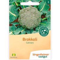 bingenheimer saatgut Bio-Samen Brokkoli "Calinaro", 1 Stk. – Ansicht 1