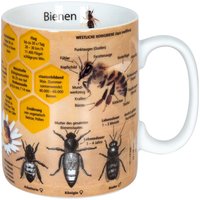 Könitz Tasse "Wissensbecher Biene" – Ansicht 1