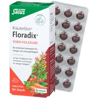Salus Floradix-Kräuterblut "Eisen Folsäure", 42 g – Ansicht 1