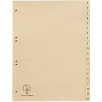 Register aus Tauenpapier 1-20, DIN A4