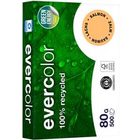 500 Blatt Clairfontaine Farbiges Recycling-Kopierpapier 'Evercolor' Lachs, 80g, DIN A4 – Ansicht 1