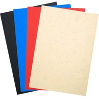 100 Exacompta Eindbanddeckel "Forever", 270 g/m², DIN A4, sortiert