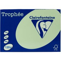 250 Blatt Clairfontaine Farbiges Kopierpapier 'Trophee' 120 g/m², DIN A4, hellgrün – Ansicht 1