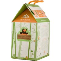 Bio-Rotwein "Montepulciano" d'Abruzzo DOP Lunaria, Bag in Box, 3 l