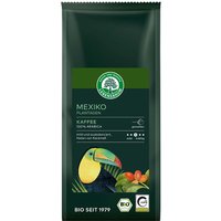 LEBENSBAUM Bio-Kaffee "Plantagen" gemahlen, 250 g