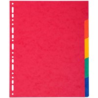 25 Exacompta Register, Colorspan-Karton, 5 Taben neutral, 225 g/m², DIN A4 Maxi, sortiert – Ansicht 1