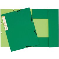 Exacompta Eckspannmappe "Forever" grün A4