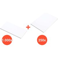 1.000 Briefumschläge "Envirelope" DL HK oF + 250 Versandtaschen "Envirelope" C4 HK oF