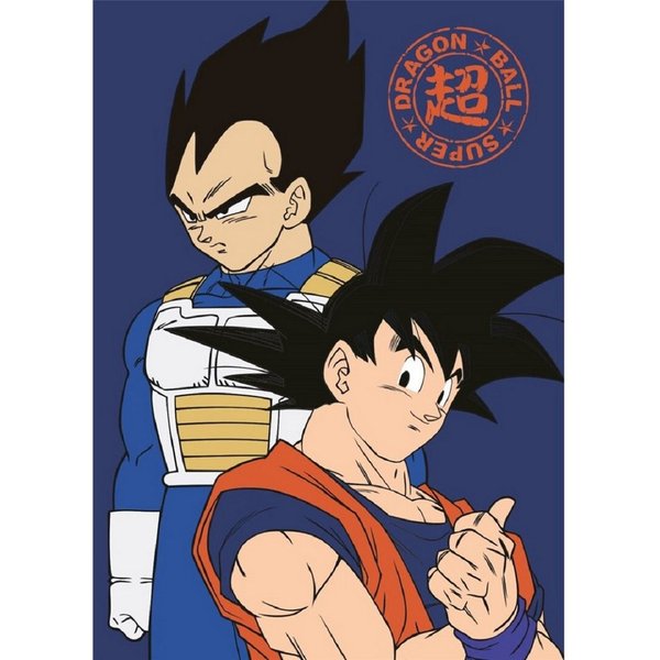 Wohndecke Dragon Ball Z Weiche Fleecedecke 100x140 cm für Kinder & Erwachsene, Aymax sprl