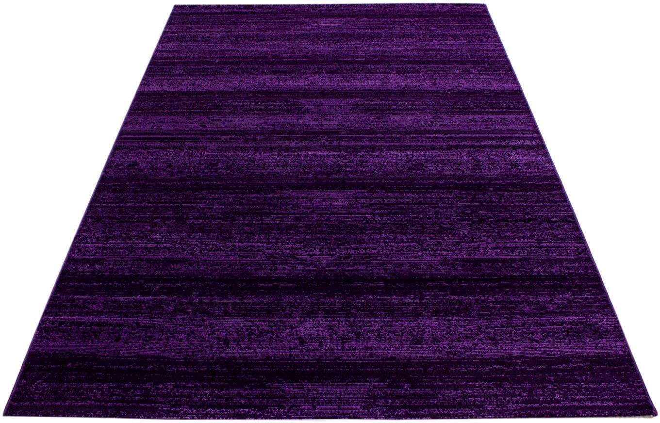 Ayyildiz Teppiche Teppich Plus 8000, auch als Läufer erhältlich, rechteckig, Höhe: 6 mm, Läufer, gestreifter Flachflor, robust, Webteppich, alle Räume – Bild 2 von 5