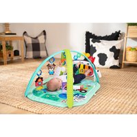 Baby Einstein Spielbogen mit Activity-Spieldecke 4in1 Farm Explorers