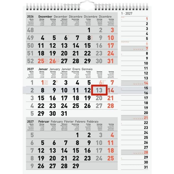Baier & Schneider Monatskalender rido/idé 7033330007 3-Monatskalender 2027 grau, 300×390 mm