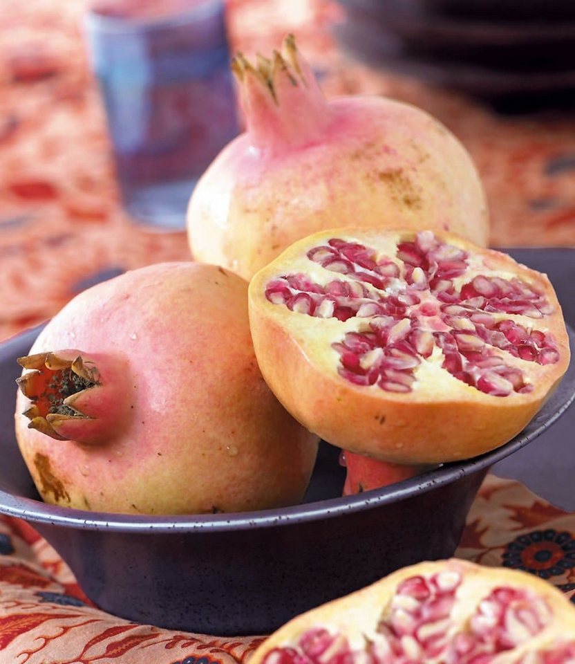BALDUR Garten Obstpflanze Granatapfel, 1 St., Selbstbefruchtend,winterhart, essbar, pflegeleicht – Bild 2 von 2