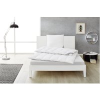 BALETTE Daunen-Kassettenbettdecke Premium Selection 100 % Daunen (extra warm, 155 X 220 CM)