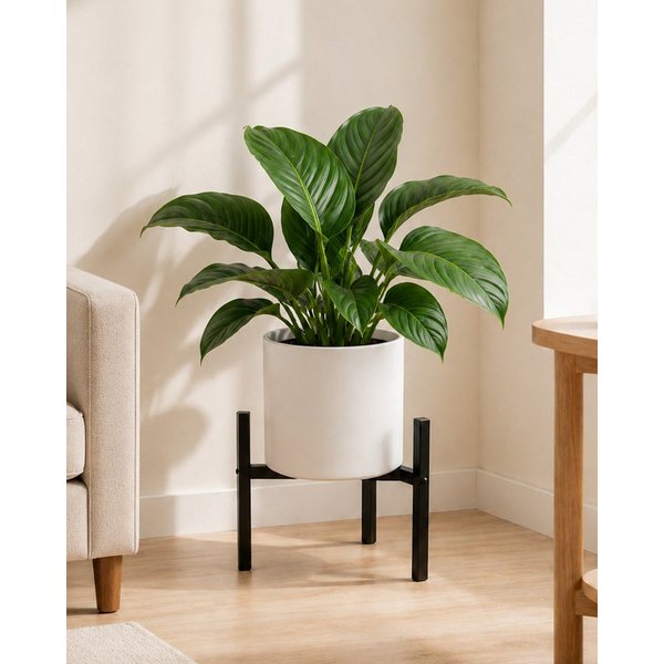 Bamworld Blumenständer wasserfest & sonnenbeständig, Verstellbarer, Schwarz (1 St), Verstellbares Design mit 2 Höhenstufen