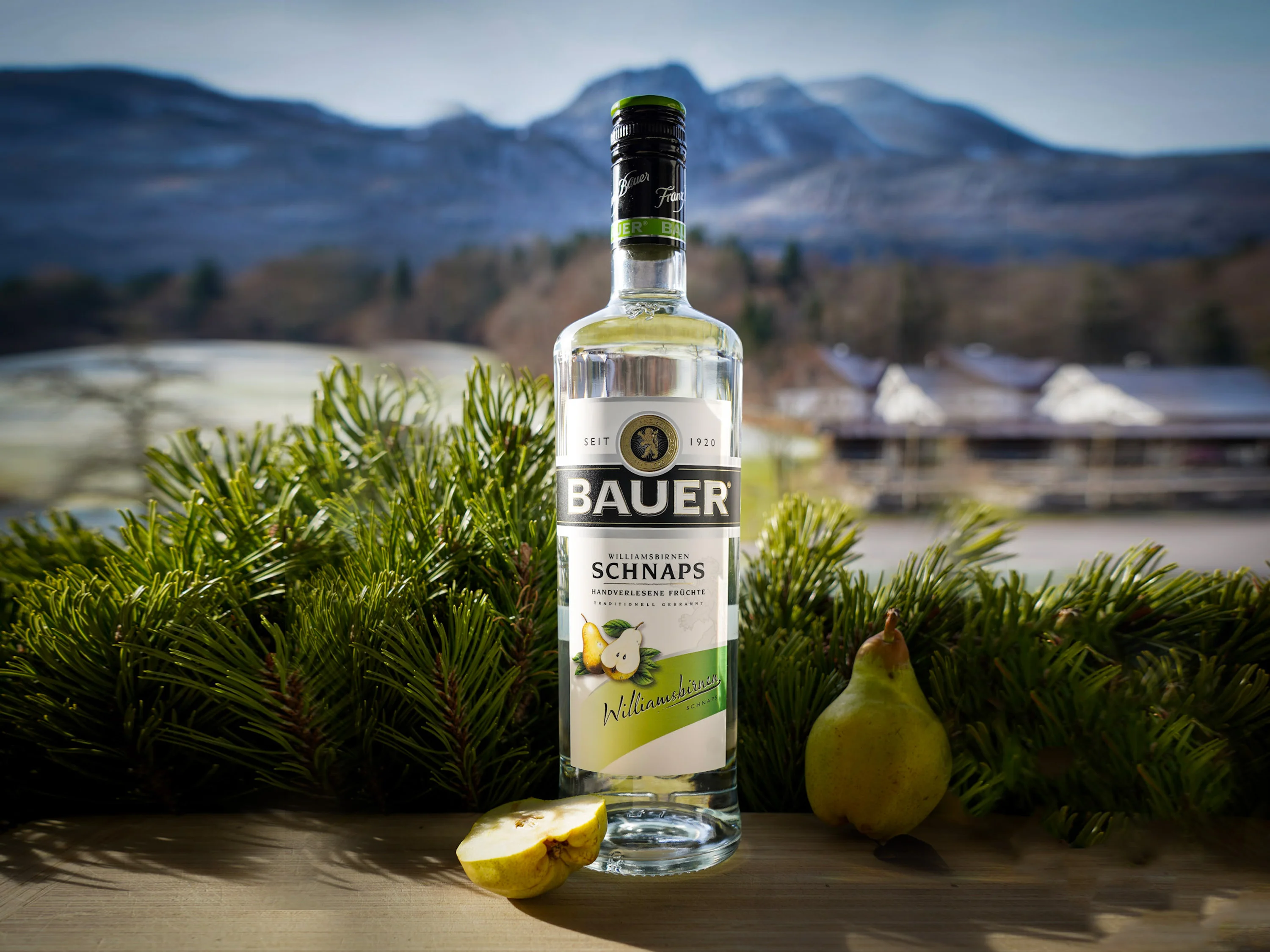 BAUER Williamsbirne Schnaps 36% Vol – Bild 3 von 3