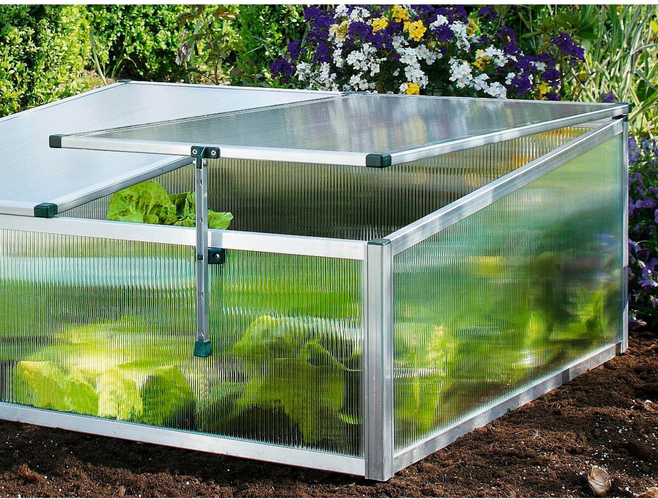 Beckmann Frühbeet Typ Allgäu - Modell 1, BxTxH: 100x90x30/40 cm – Bild 4 von 5