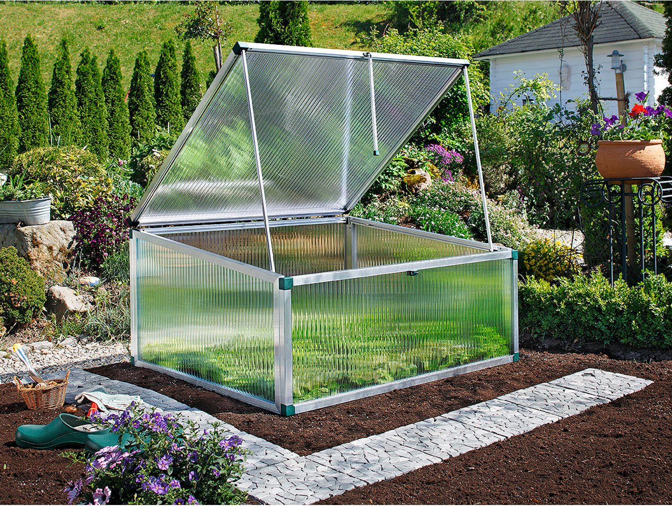 Beckmann Frühbeet Typ Allgäu - Modell 3, BxTxH: 123x107x50/61 cm – Bild 4 von 5