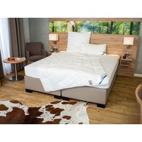 BECO Sommer-Bettdecke Proneem mit Milbenschutz, leicht (135 X 200 CM)