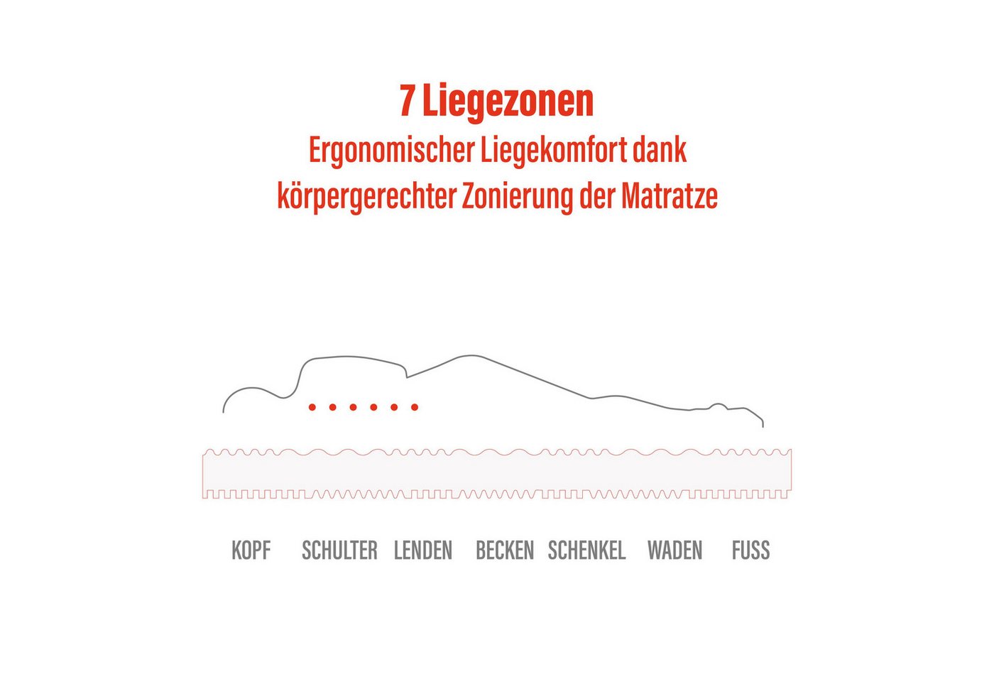 Komfortschaummatratze Basic Premium 7-Zonen Schlafkomfort – ergonomisch & atmungsaktiv, BeMeo, 15 cm hoch, 100% Made in Germany 80x200 – Bild 2 von 5