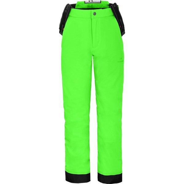Bergson Skihose PELLY Kinder Skihose, wattiert, 20000 mm Wassersäule, Normalgrößen, Gecko g