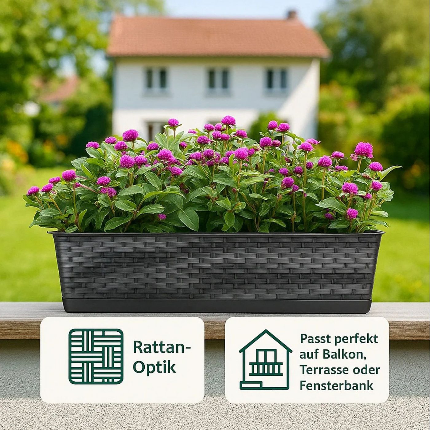 BigDean Blumenkasten mit abnehmbarem Untersetzer Anthrazit 80 cm lang - Balkonkasten (Set, 3 St., Blumenkasten + Untersetzer), Erhöte Ablauflöcher, Stilvoll, We – Bild 3 von 5