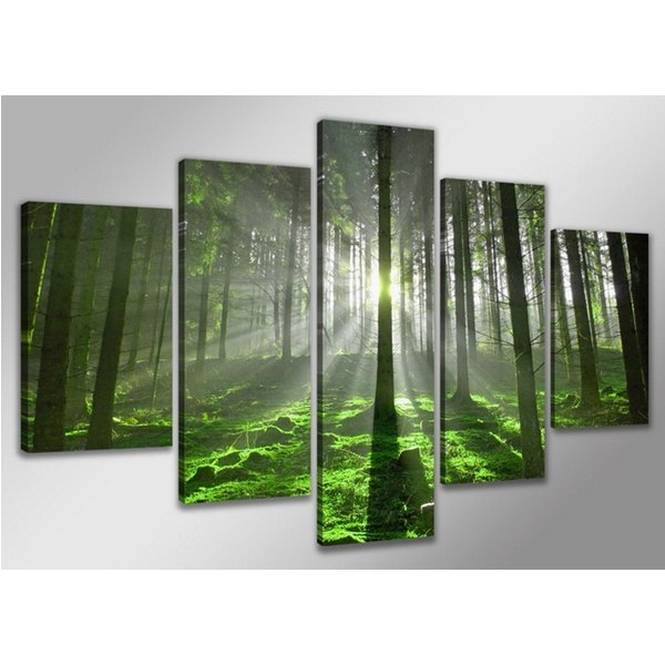 Visario Bild mit Rahmen 2 m x 1 m 5er Set Visario auf Leinwand fertig zum Aufhängen/gerahmt, Wald