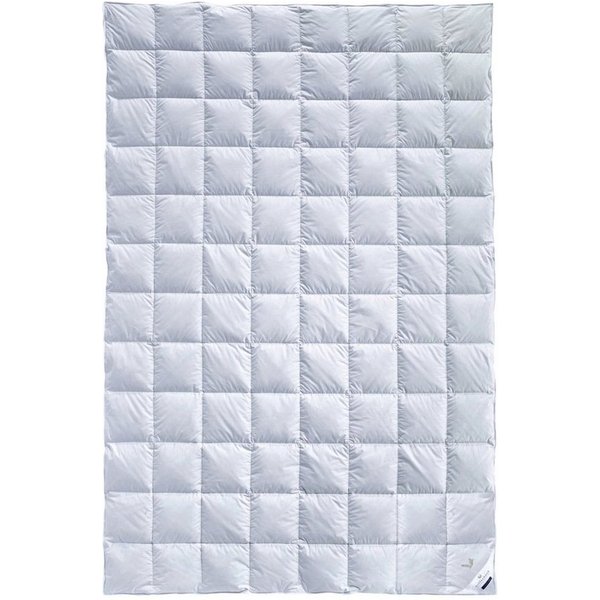 billerbeck Sommerbettdecke Gold-Edition, Füllung: 90% Daunen, 10% Federn, Bezug: Baumwolle, Hygienisch waschbar bis 60°C