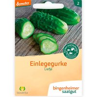 bingenheimer saatgut Bio-Samen Einlegegurke "Liefje", 1 Stk.