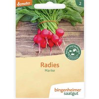 bingenheimer saatgut Bio-Samen Radieschen "Radies Marike", 1 Stk.