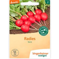 bingenheimer saatgut Bio-Samen Radieschen "Sora", 1 Stk.