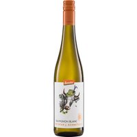 Bio-Weißwein STEFAN J. SCHMITZER Sauvignon Blanc, 0,75 l