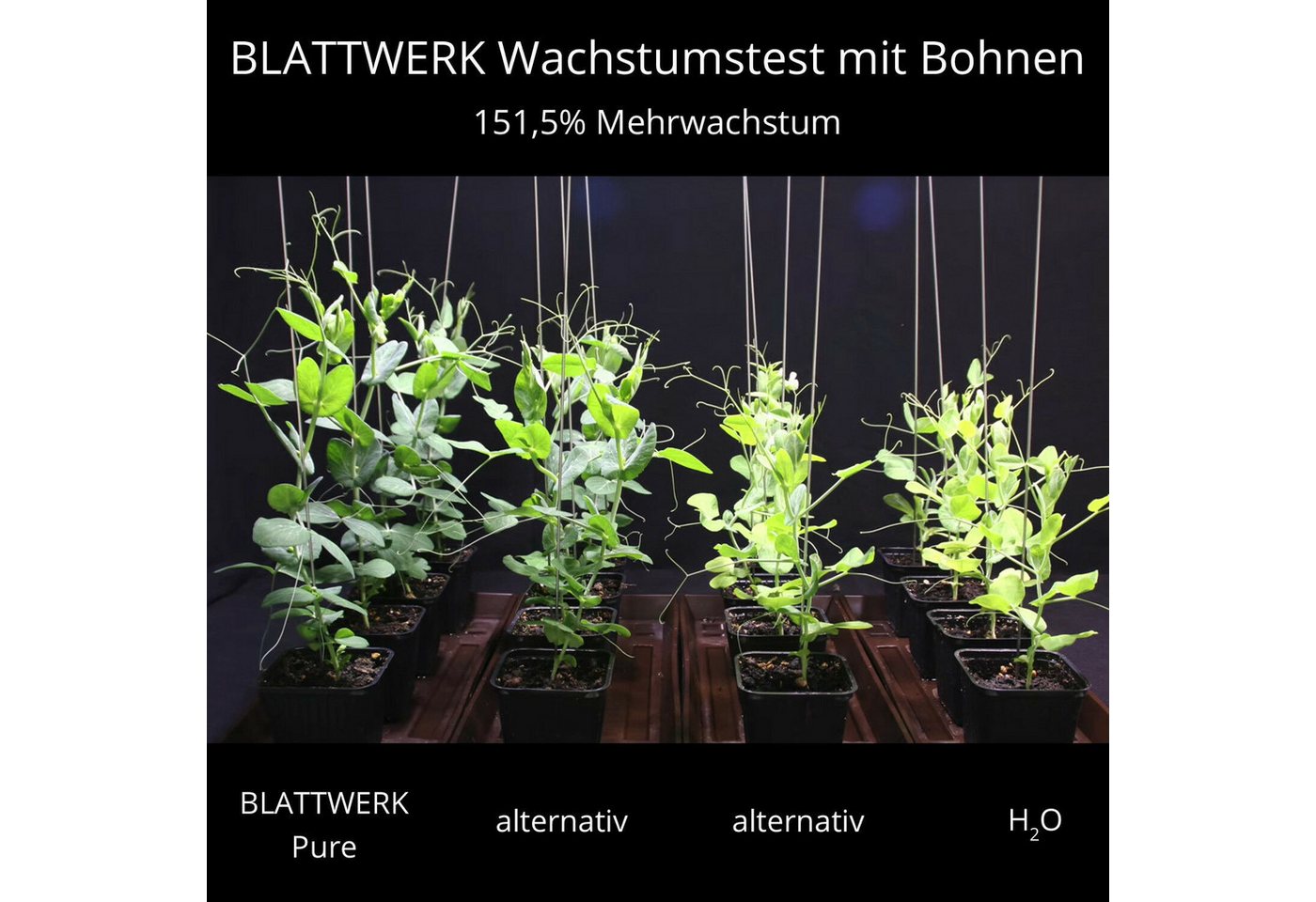 BIOFABRIK Bio-Erde BLATTWERK Dünger, Biodünger, Universaldünger vegan, (1-St) – Bild 3 von 5