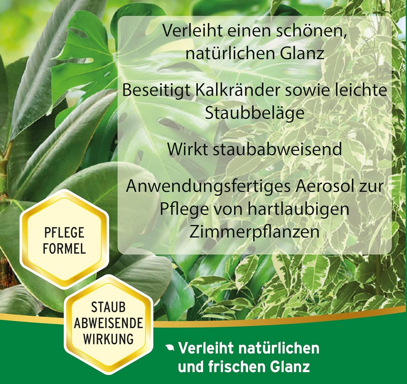 Substral Blumendünger Substral Blattglanz Spray 200 ml – Bild 3 von 4