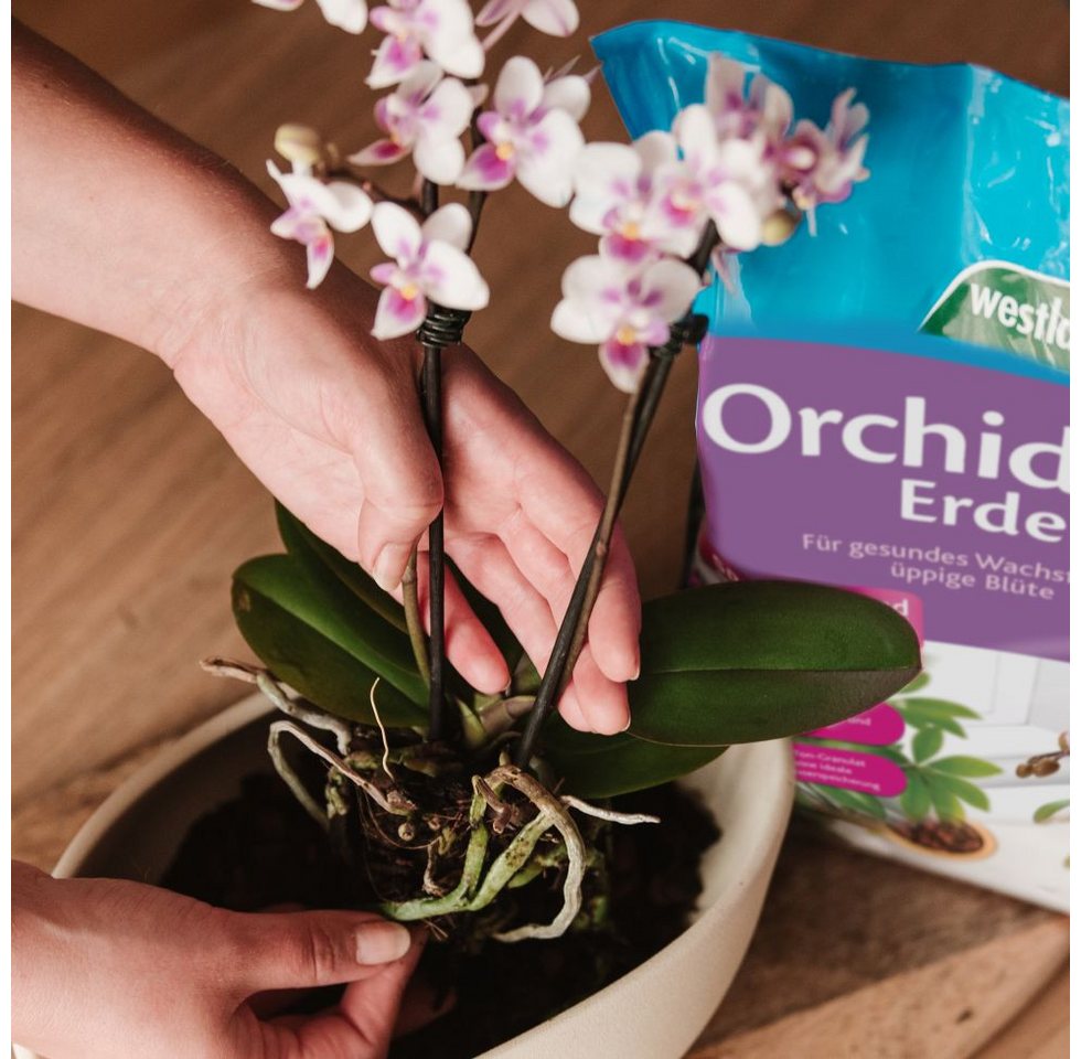 Westland Blumenerde Westland Orchideenerde 8 l – Bild 4 von 4